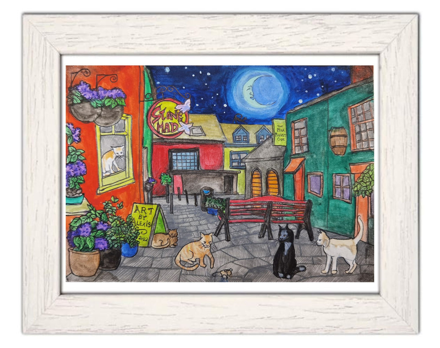 Kinsale: Stone Mad and overrun with Cats