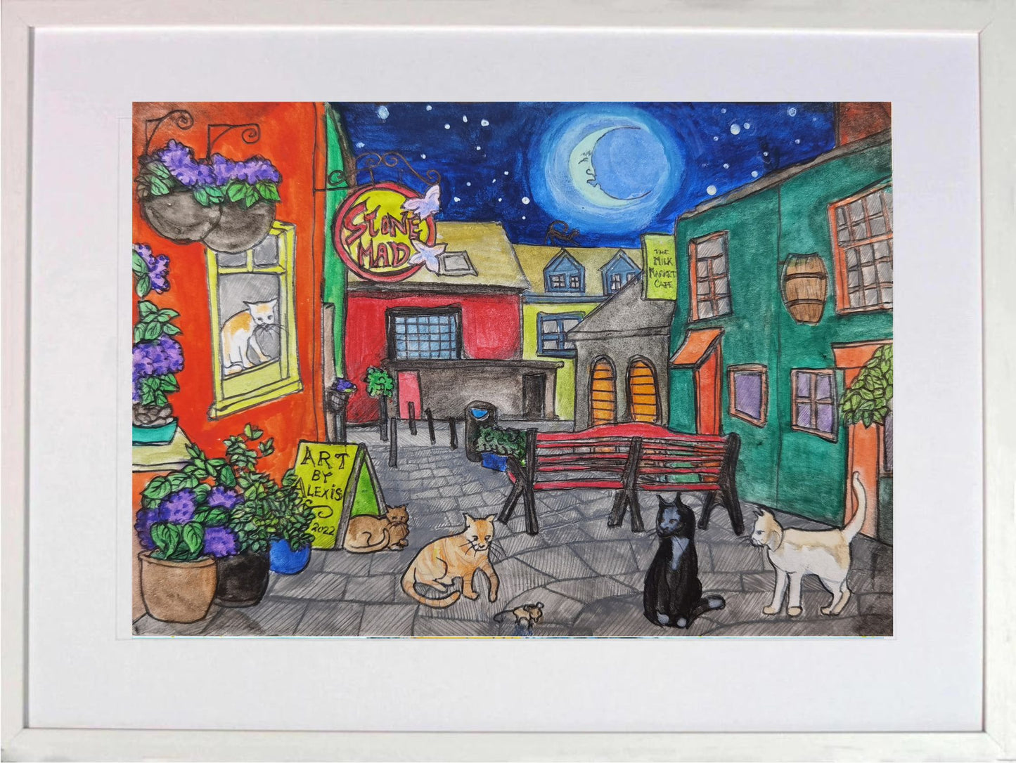 Kinsale: Stone Mad and overrun with Cats