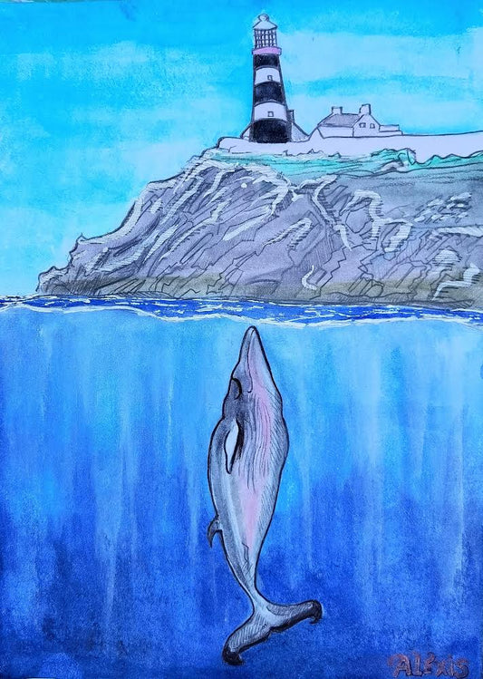 Under Old Head: The Minke Whale