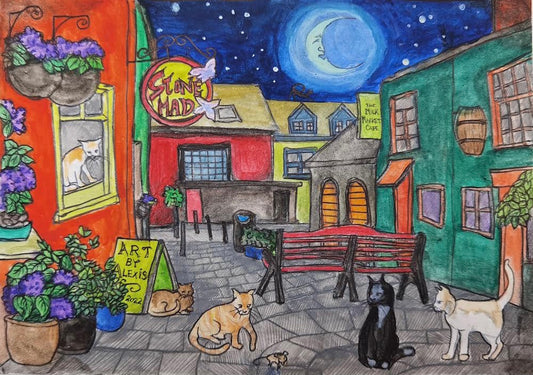 Kinsale: Stone Mad and overrun with Cats